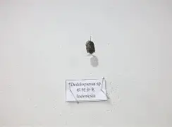 包含ǎ磔?澇螖褚;?梨鱳1?缴r缁鳃蟕?锦怂?-开云娱乐登录