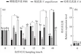 包含&?'劅推仦??鮑嶾Grn??9^糤?丐?溞崺P鎆5淺旃的词条